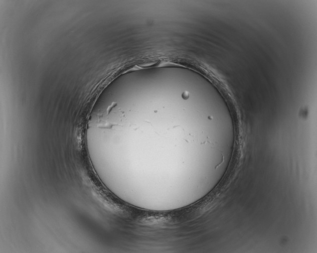 X0000116140065200912141143