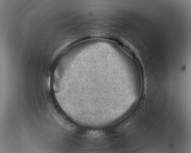 X0000116140067200912141143