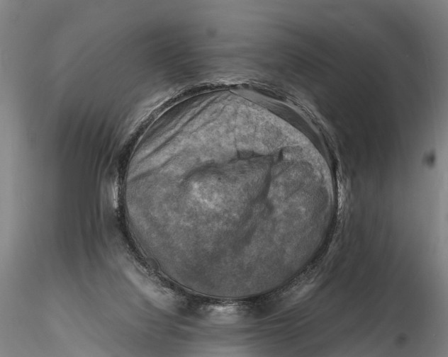 X0000116140068200912141143