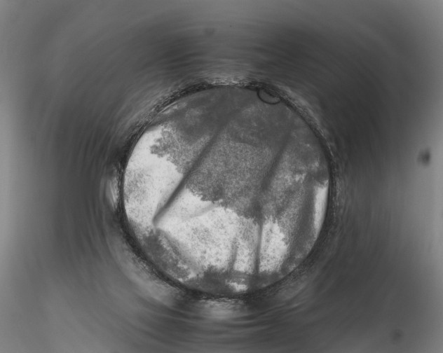 X0000116140069200912141143