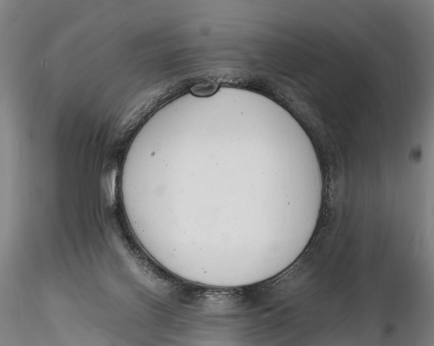 X0000116140070200912141143