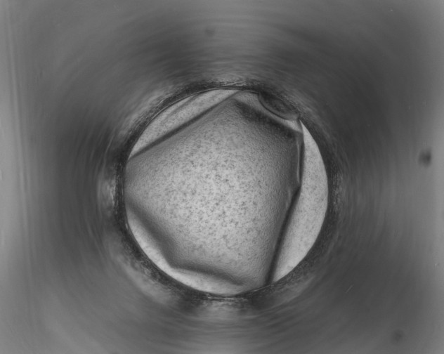 X0000116140072200912141143