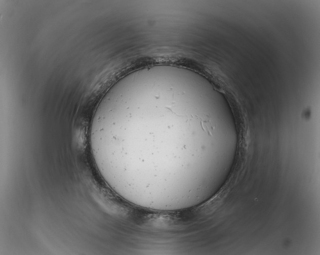 X0000116140074200912141143