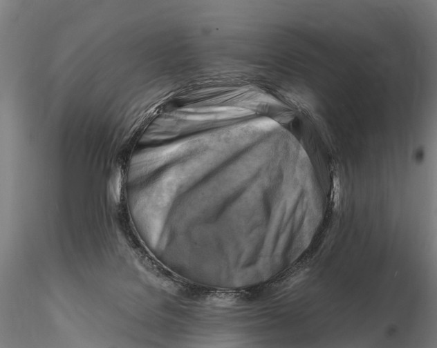 X0000116140076200912141143