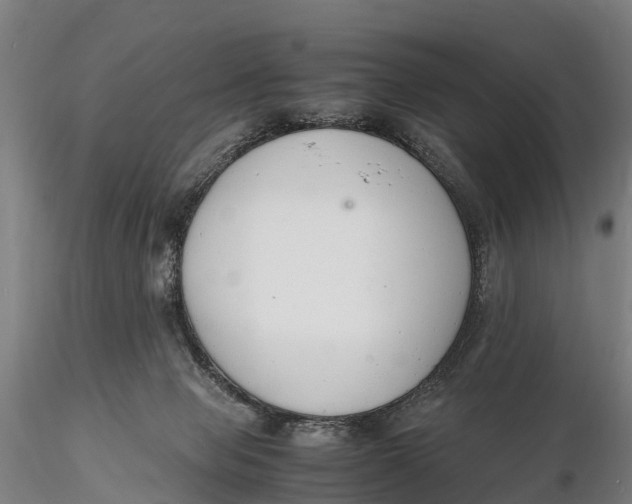 X0000116140077200912141143