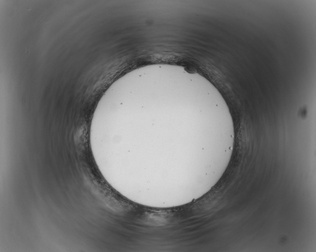 X0000116140079200912141143