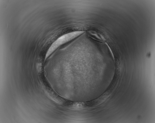 X0000116140080200912141143