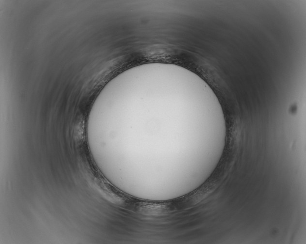 X0000116140081200912141143