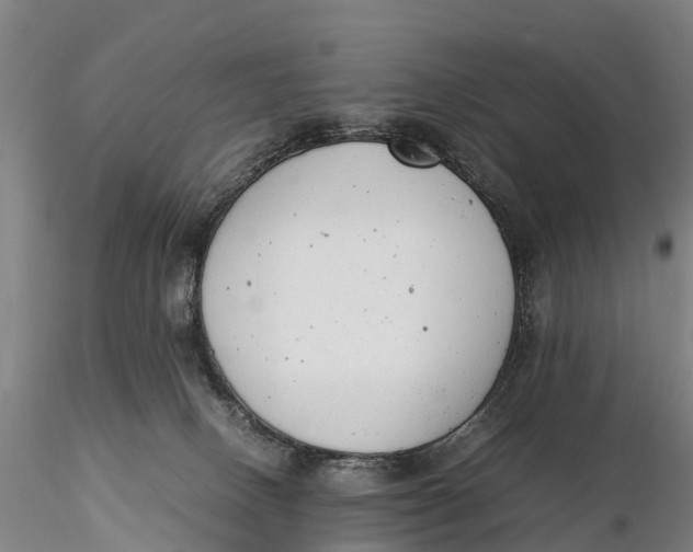 X0000116140082200912141143