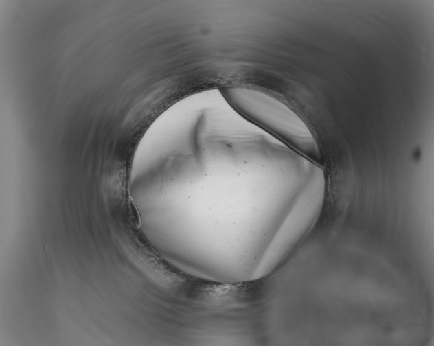 X0000116140092200912141143