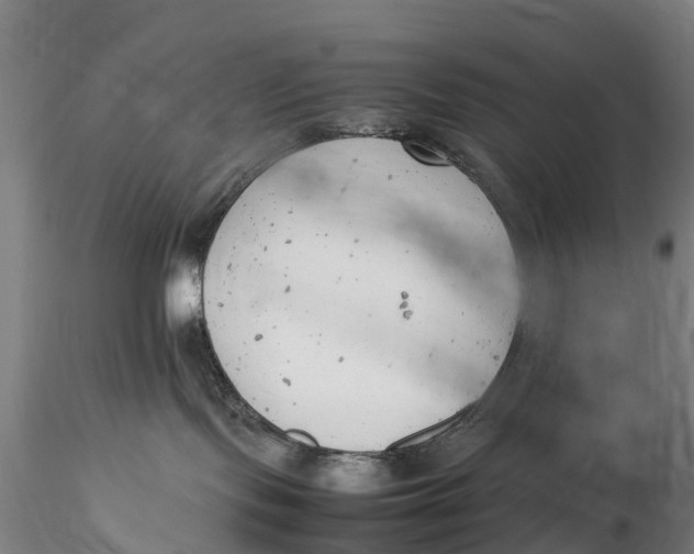 X0000116140095200912141144