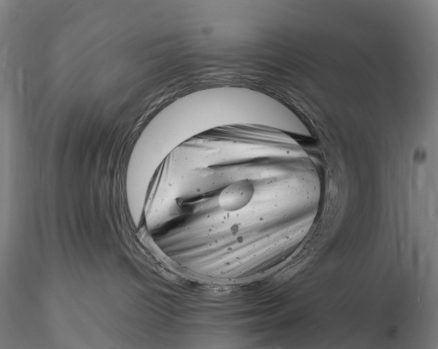 X0000116140096200912141144