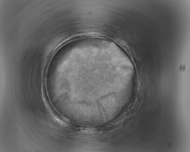 X0000116140097200912141143