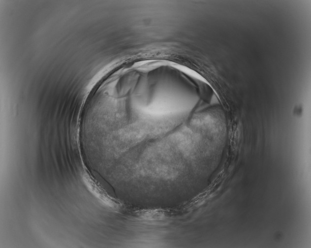 X0000116140100200912141143