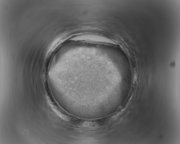 X0000116140101200912141143