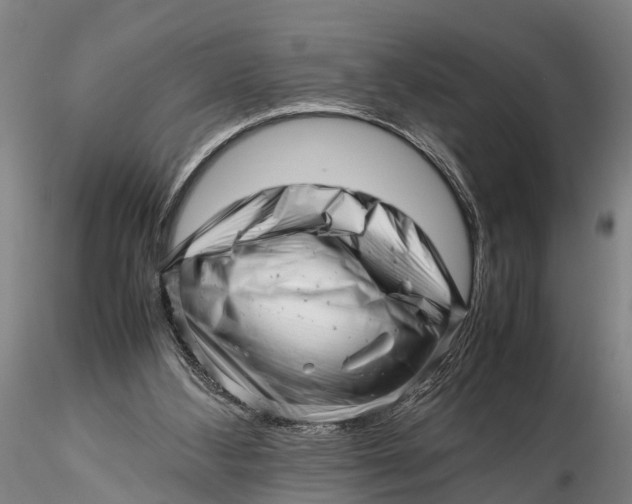 X0000116140108200912141142