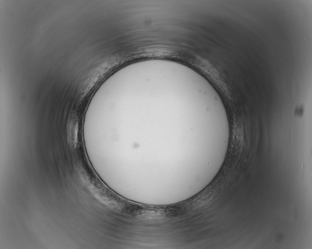 X0000116140110200912141142