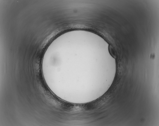 X0000116140111200912141142