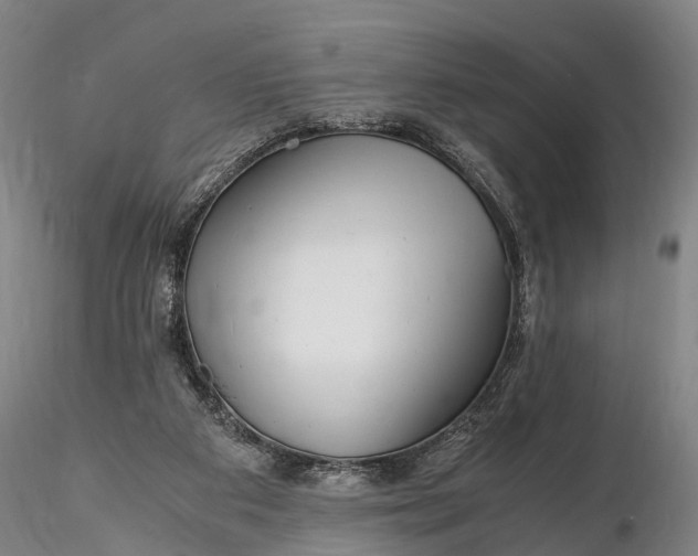 X0000116140113200912141142