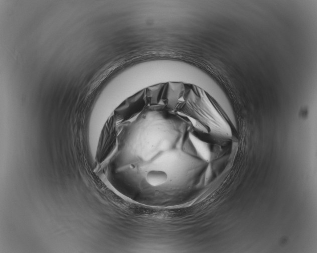 X0000116140116200912141142