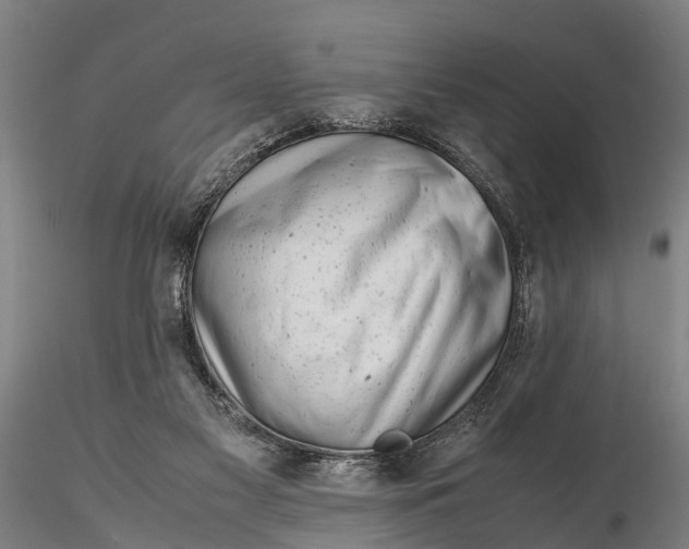 X0000116140117200912141142