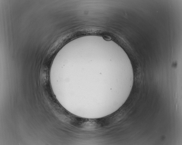 X0000116140119200912141142