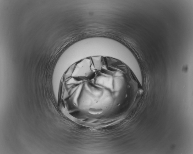 X0000116140121200912141142