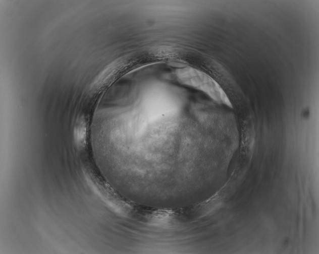 X0000116140124200912141142