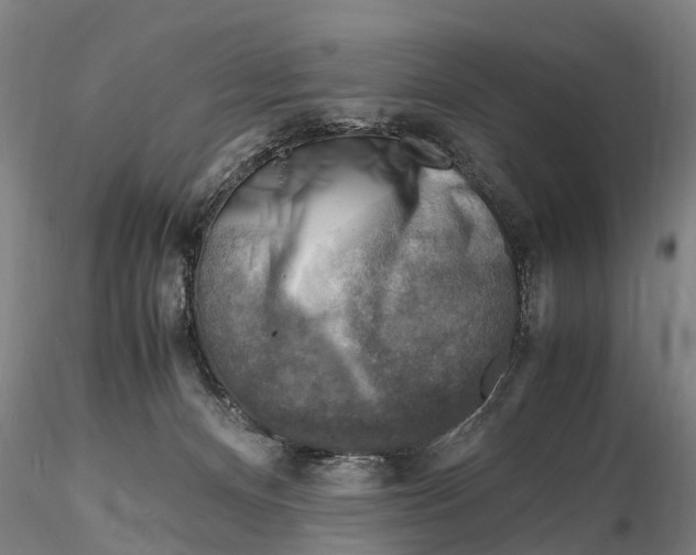 X0000116140128200912141142