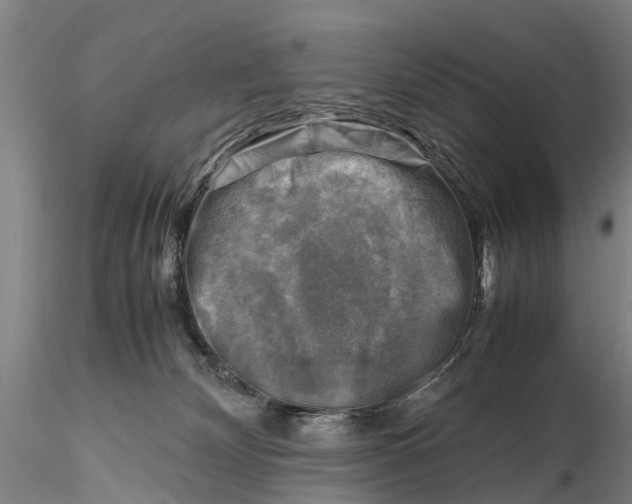 X0000116140132200912141142