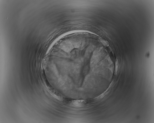 X0000116140136200912141142