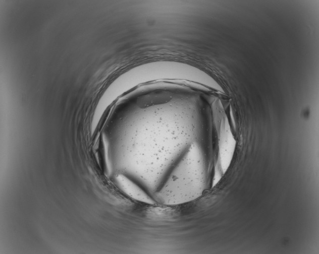 X0000116140137200912141142