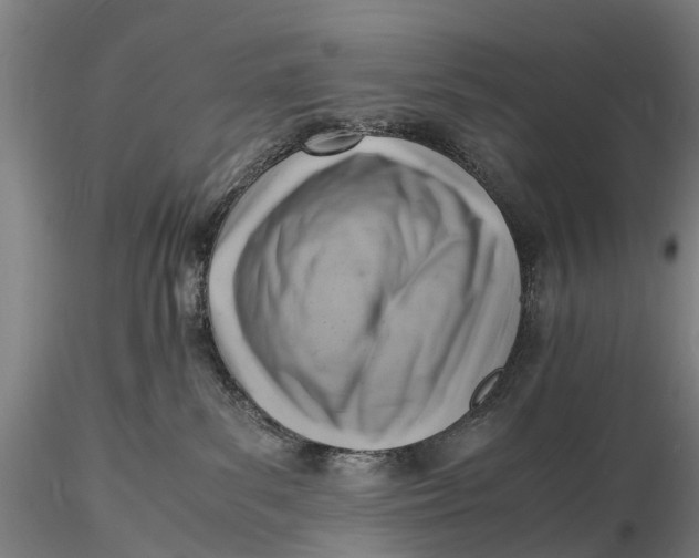 X0000116140139200912141142