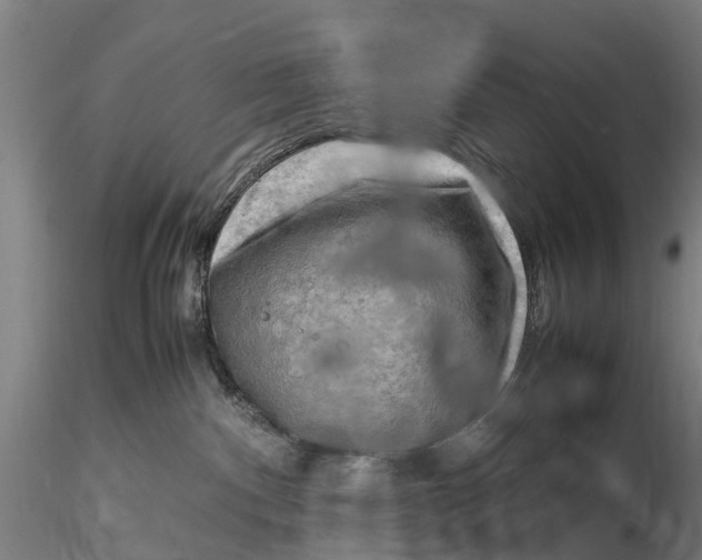 X0000116140140200912141142