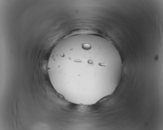 X0000116140141200912141142