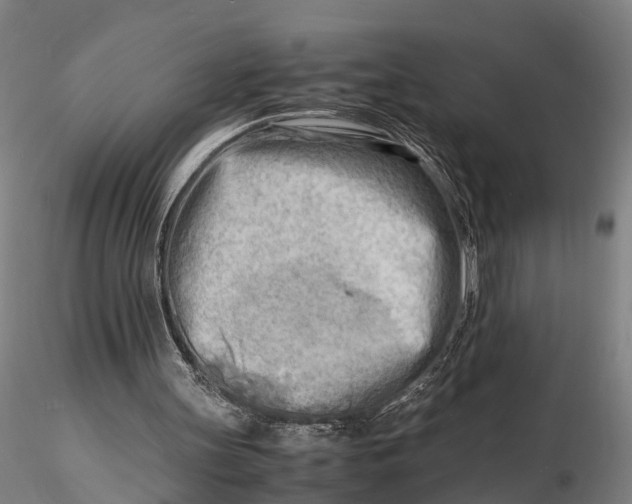 X0000116140147200912141141