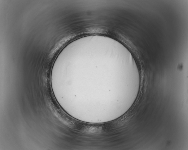 X0000116140155200912141141