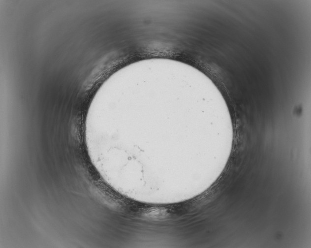 X0000116140162200912141141