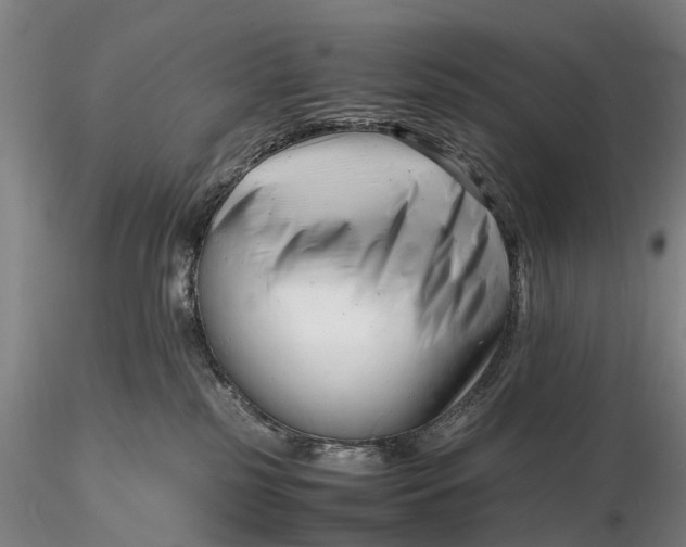 X0000116140185200912141142