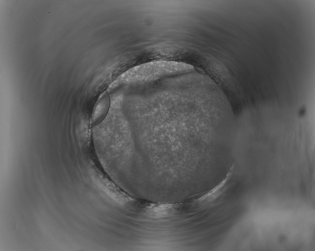 X0000116140186200912141142