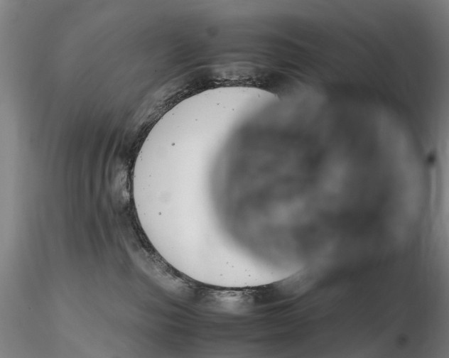 X0000116140187200912141142