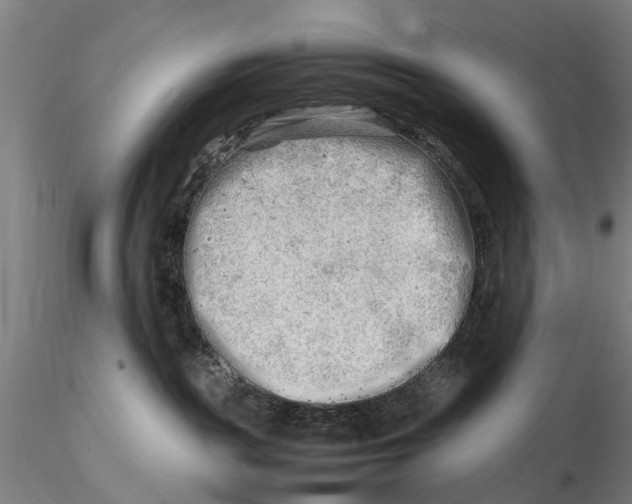 X0000116140189200912141142