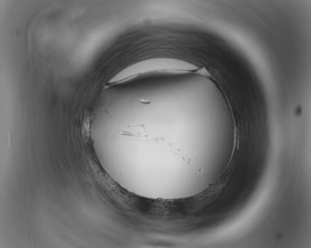 X0000116140190200912141142