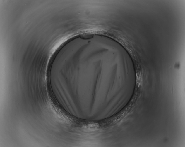 X0000116140196200912141141