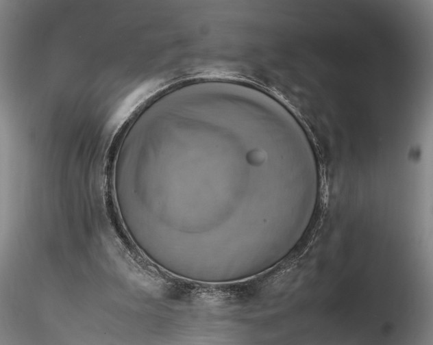 X0000116140199200912141141