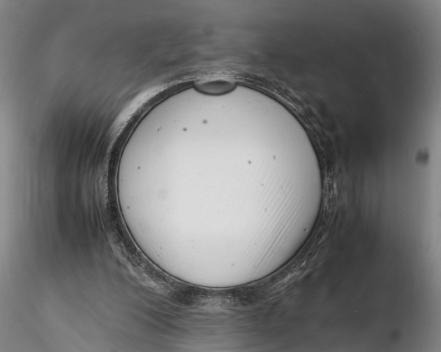 X0000116140200200912141141