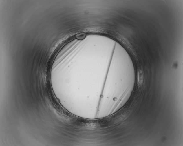 X0000116140204200912141141