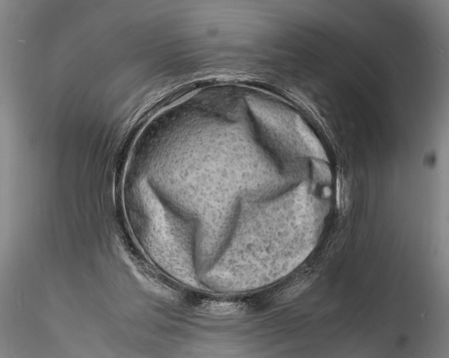 X0000116140205200912141141