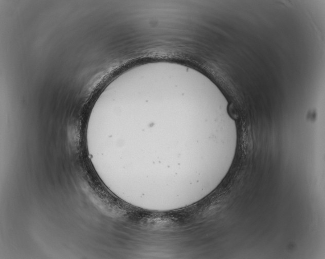 X0000116140208200912141141