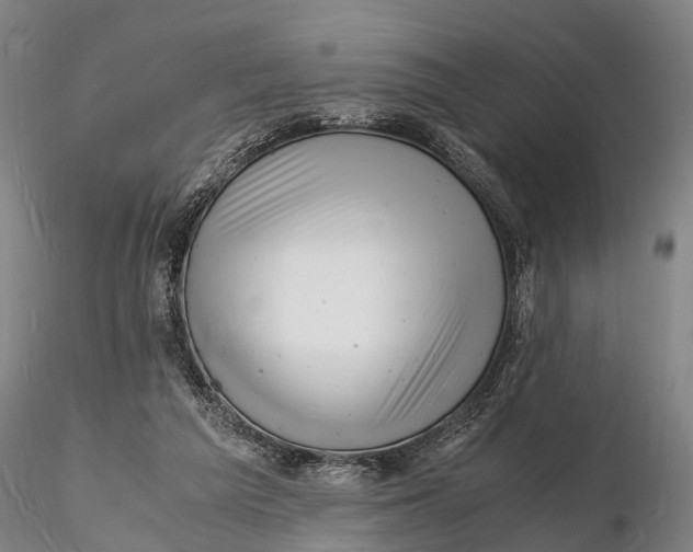 X0000116140209200912141141